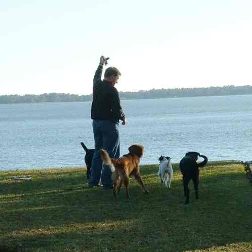 Kern Campbell with all of his dogs playing fetch by the water