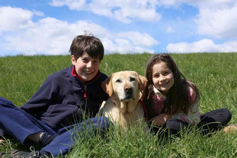 Are Labrador Retrievers Good with Kids?