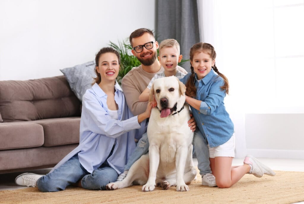 What is the #1 Family Dog?