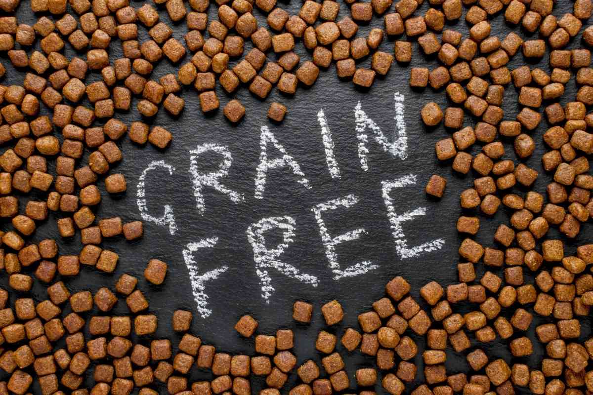 Should Golden Retrievers Eat Grain Free 1 Should Golden Retrievers Eat Grain Free?
