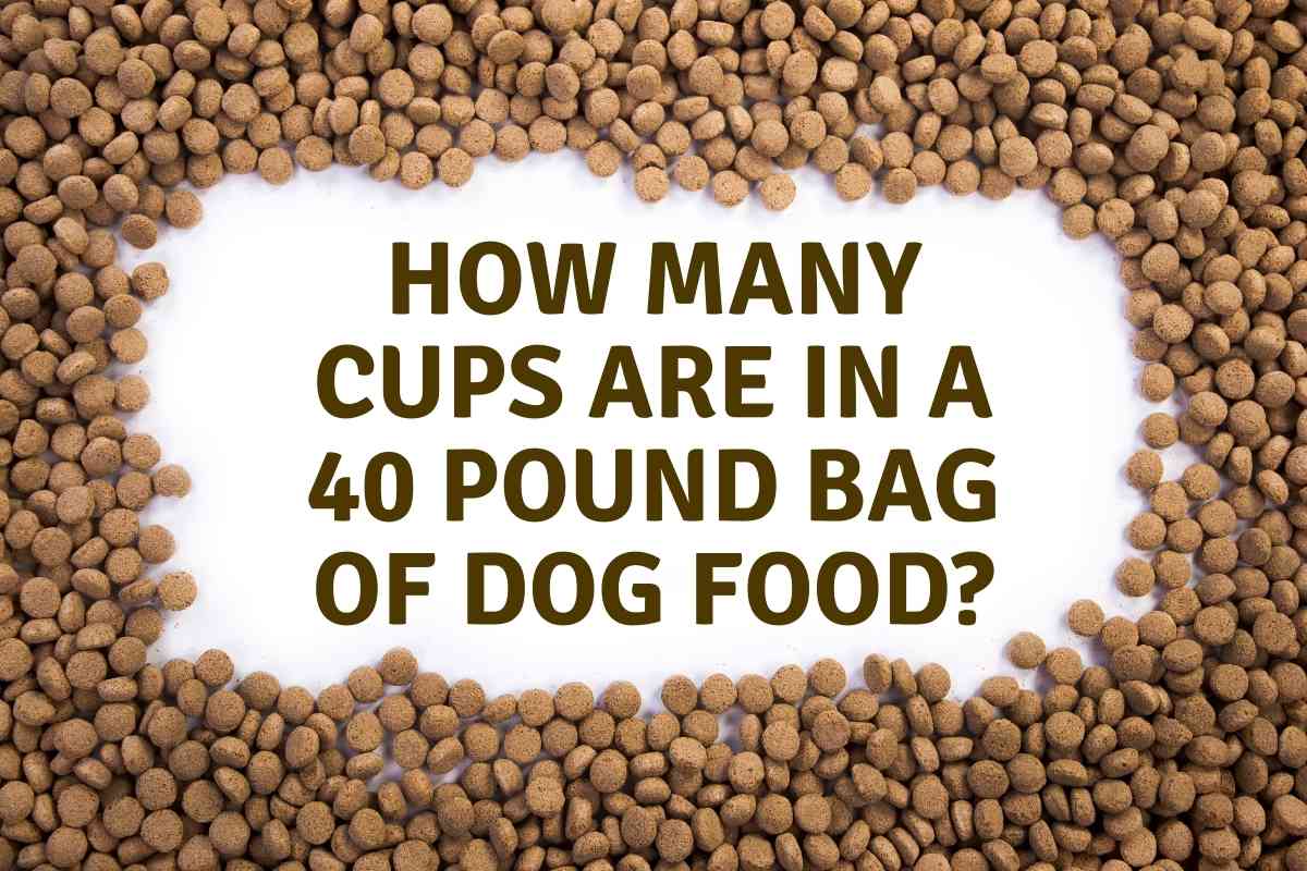 How Many Cups in 40 Lbs of Dog Food? 2