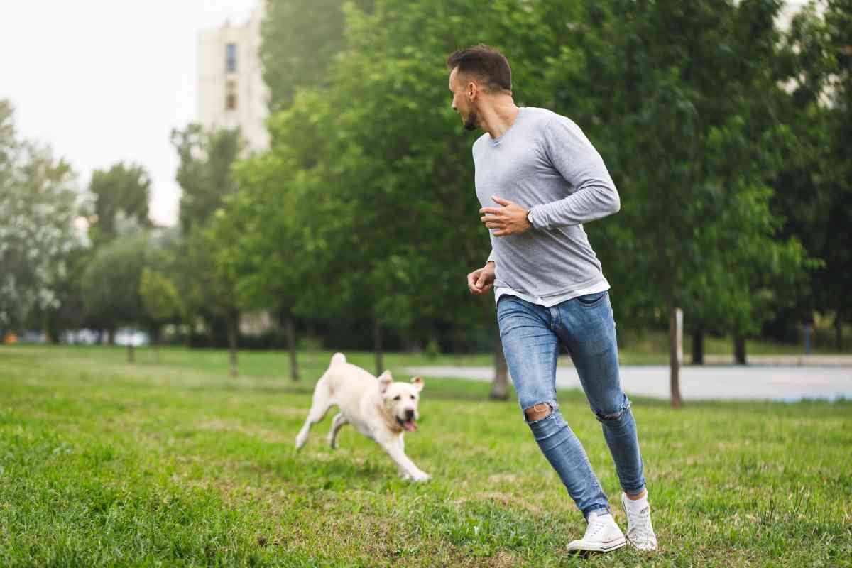 Running With A Labrador Retriever Running With A Labrador Retriever: What You Need To Know
