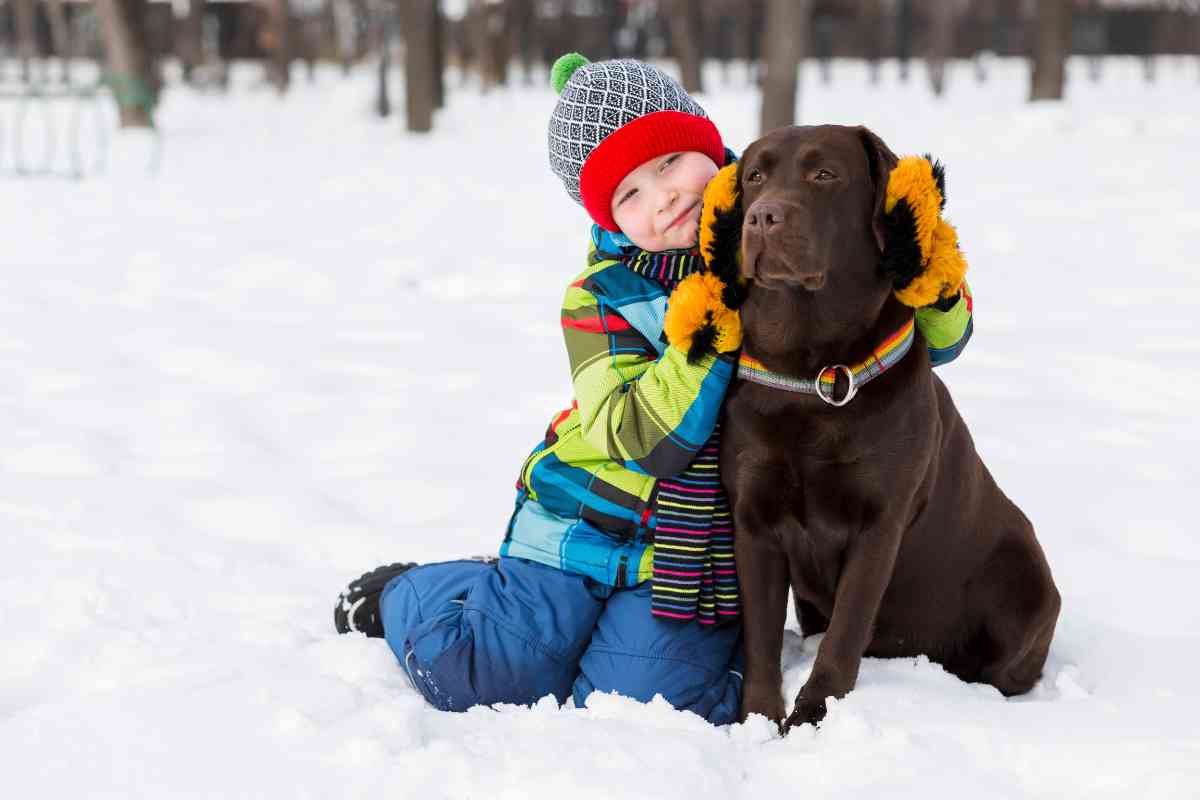 Are Labrador Retrievers Good With Kids 1 2 Labradors And Kids: How To Keep Everyone Safe